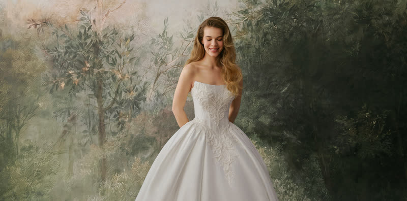 Creazione Vládiyan Royal selezionata in atelier